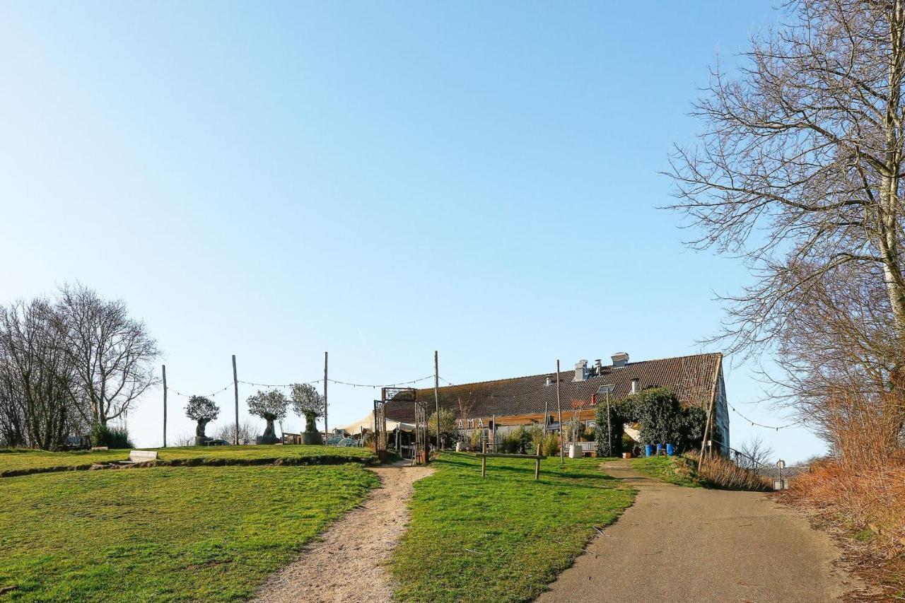 Sunnybeachhouse Aan Het Bos, Tussen Zee En Meer. Noordwijkerhout Ngoại thất bức ảnh